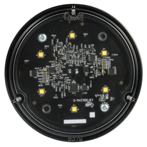 Grote Trilliant Par 36 Bul - 12V/24V 224348 