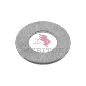 Meritor Washer 1006482 