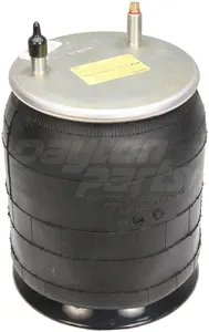 Dayton Air Spring 396698 
