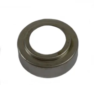 Spicer RETAINER SPRIN 540734 