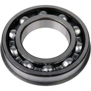 SKF Bearing 1202876 