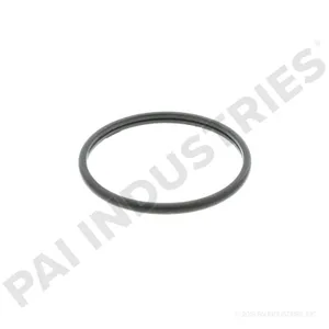 PAI D-RING,THERMO. 623600 