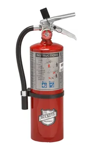 Buckeye Fire Extinguisher 213936 