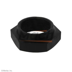 Mach Input Shaft Nut 299810 