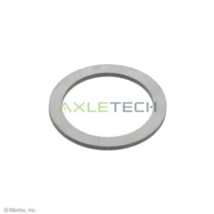 Axle Tech Washer-Thrust 317552 