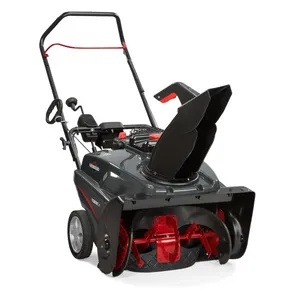 Briggs & Stratton BRIGGS 22  9.5 1212518 