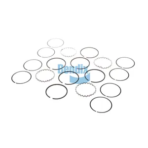 Bendix Ring - Piston, Compressor 213158 