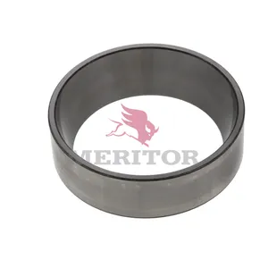 Meritor Std Whl Bg Cone 777678 