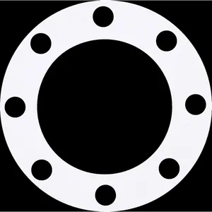 Spicer GASKET-AXLE 561116 