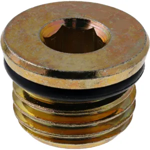 Spicer PLUG O-RING 556290 