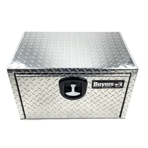 Buyers Products Door - Toolbox 256324 