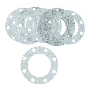SKF Gasket 496394 