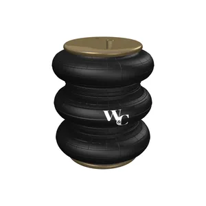 Watson & Chalin AIR SPRNG 899124 