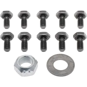 Spicer DRIVE GEAR 309862 