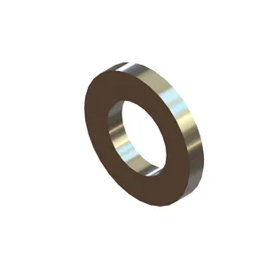 Holland WASHER, SPECIAL 618036 