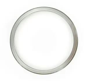 SKF Bearing Race 219072 