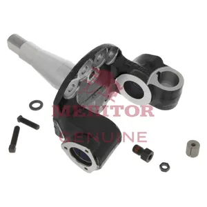 Meritor Knuckle Kit 756402 