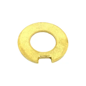 Muncie WASHER 299290 