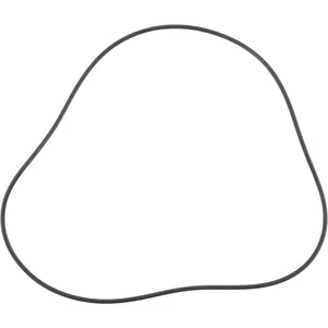 Spicer P O-RING 515298 
