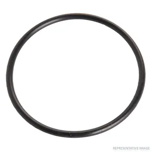 Holland O-RING,2.89 OD 607554 