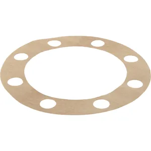 Spicer Gasket - Axle Shaft Flange, Rear Drive Axle 220076 