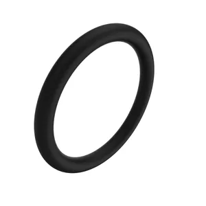 Funk O RING 1202412 