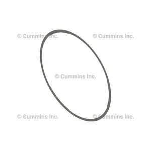 Cummins Shim 1200934 