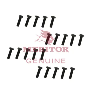 Meritor Capscrew 786898 
