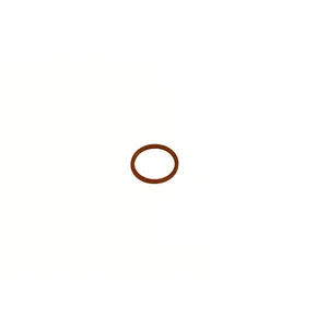 Spicer WASHER-PLUG 524866 
