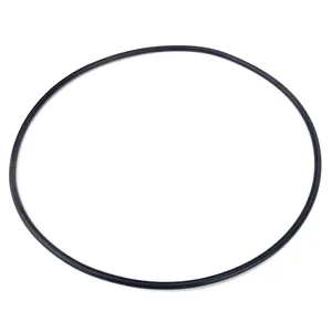 PAI O-Ring 269894 