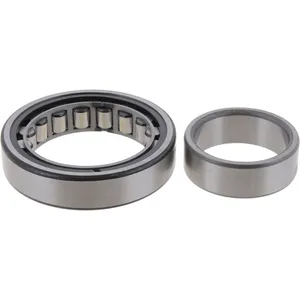 Spicer Differential Bearing 248838 