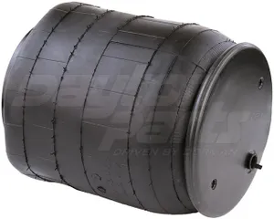 Dayton Air Spring 1101999 