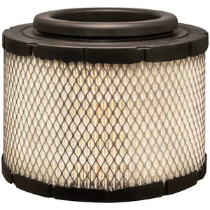 Baldwin AIR FILT 1438784 