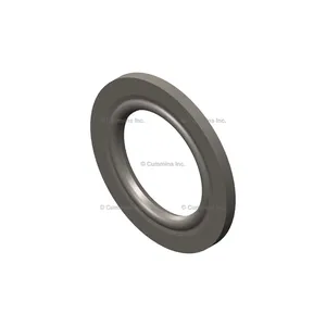 Cummins Washer 1207168 
