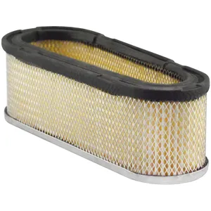 Baldwin AIR FILTR 1060690 