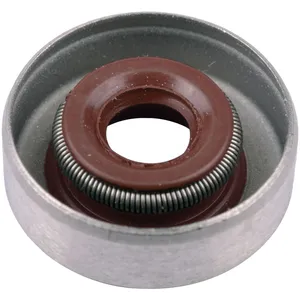 SKF Seal 484718 