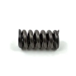 Tremec Spring 254402 