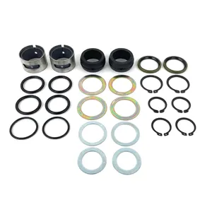 Armada Cam Repair Kit 289800 