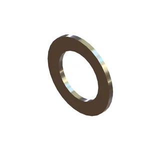 Holland WASHER (SPECIAL 1166270 