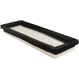 Baldwin Air Element 249998 