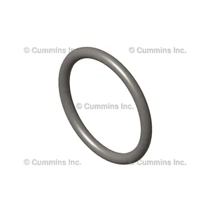 Cummins Seal 1199862 