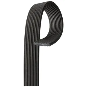 Gates DUAL BELT 298070 