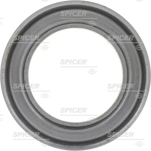 Spicer SLINGER 799000 
