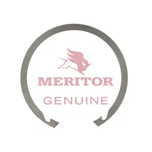 Meritor Ring-Snap .164 310768 