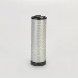 Donaldson AIR SFTY RS 895888 