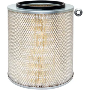 Baldwin AIR FILTER 1436172 