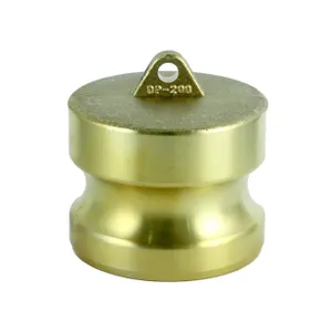 Chandler BRASS 4 MALE P 346688 