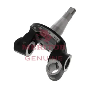 Meritor Steer Knuckle 737374 
