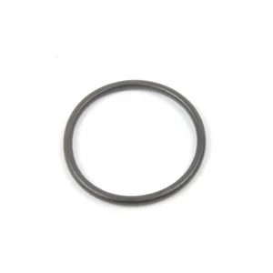 Spicer O RING 487140 