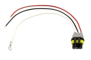 Peterson PLUG 1091124 